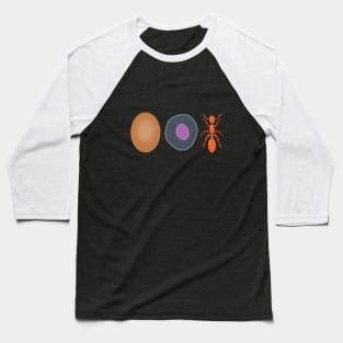 egg cell ant Baseball T-Shirt